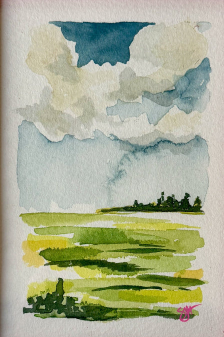 Fields after Rain