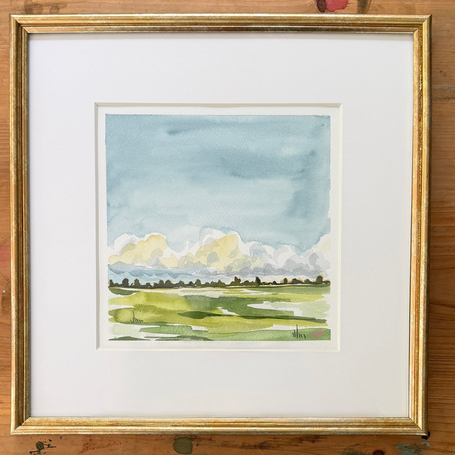 Low Clouds and Shimmering Fields