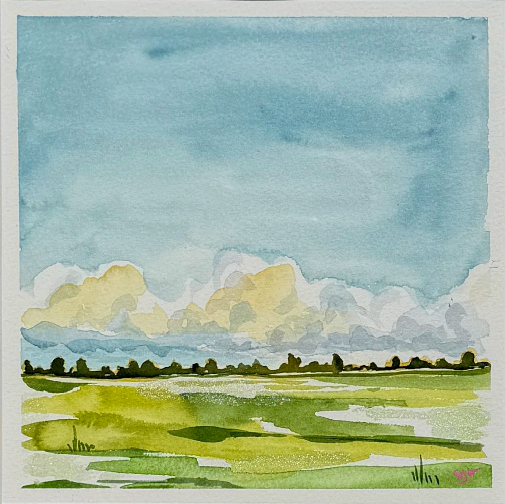 Low Clouds and Shimmering Fields