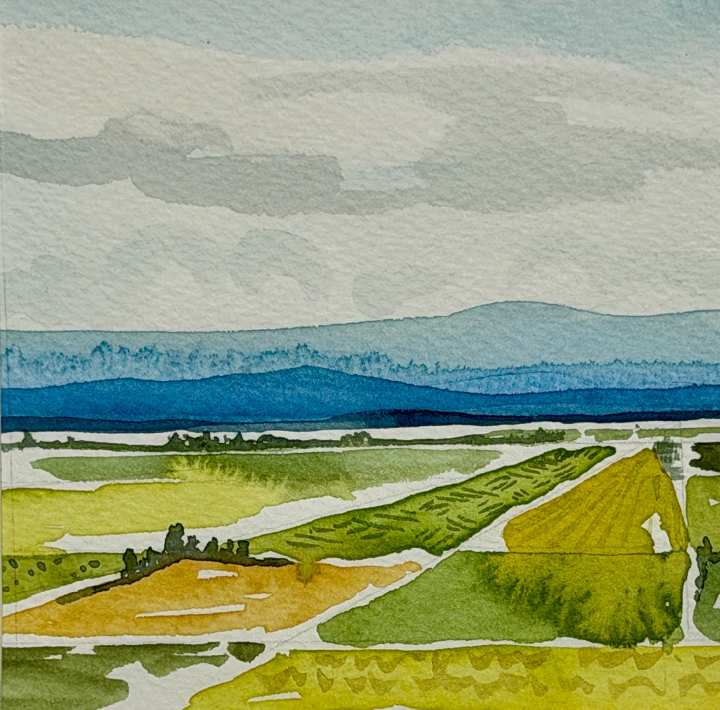 Patchwork fields