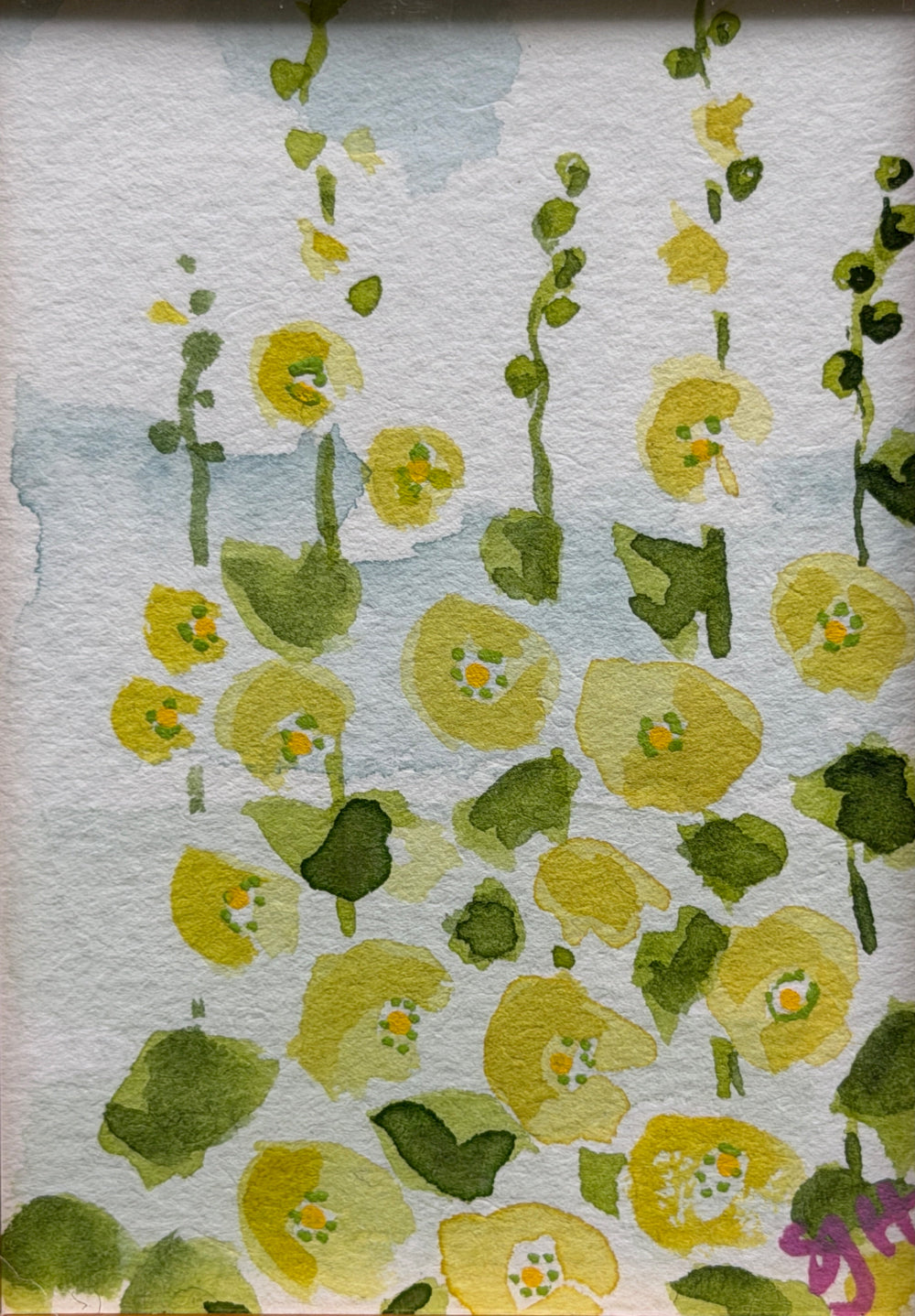 Tiny Yellow Hollyhocks