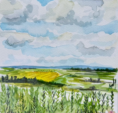 fields to the mountains
