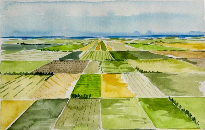 view from the sky