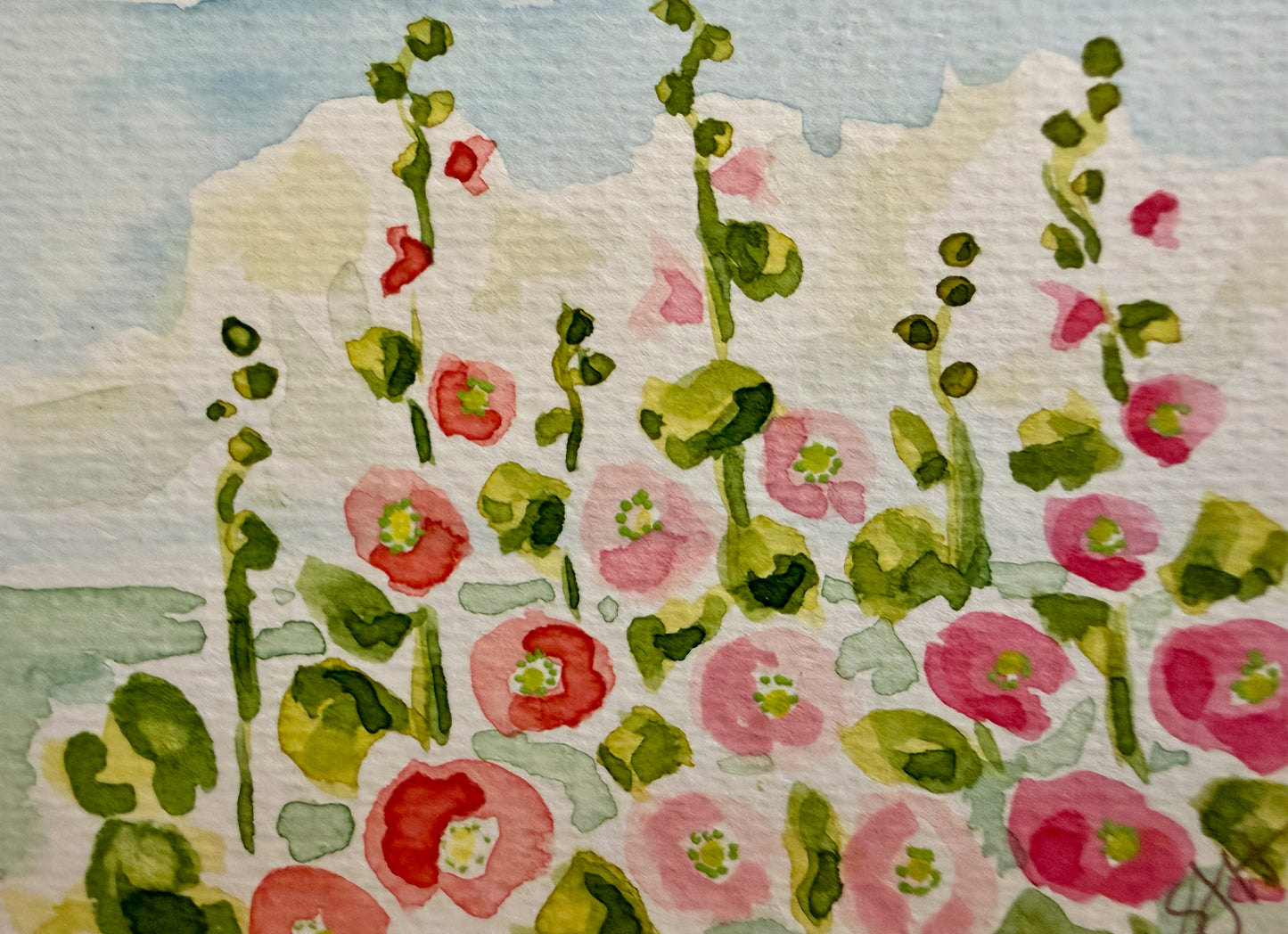 Tiny Pink Hollyhocks