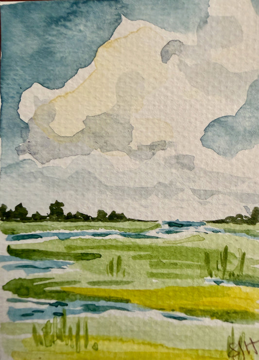 Tiny Ohio Marsh