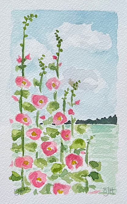 Hollyhocks with a View